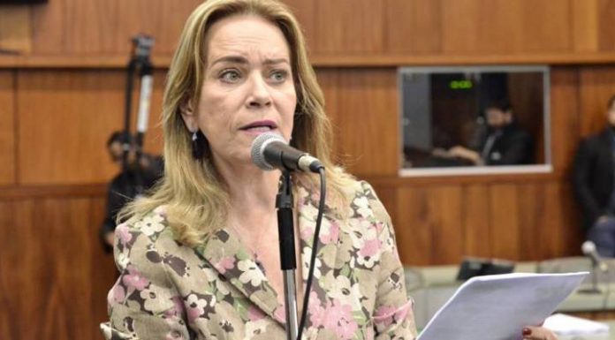 Lêda Borges: convalidação de incentivos é crucial para ajudar o contribuinte
