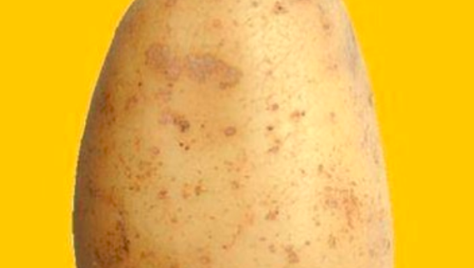 Foto de batata quer bater Neymar em número de curtidas no Instagram