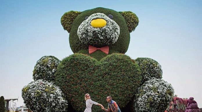 Lorena Improta é pedida em casamento por Léo Santana durante viagem