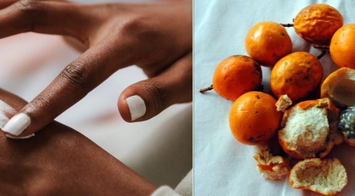 Maracujá do mato: espécie nativa da Amazônia pode ser utilizada na fabricação de cosméticos