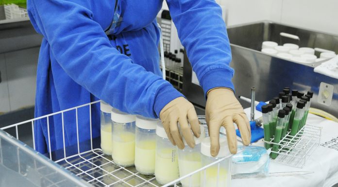 Governo destina R$ 40,7 milhões para bancos de leite humano