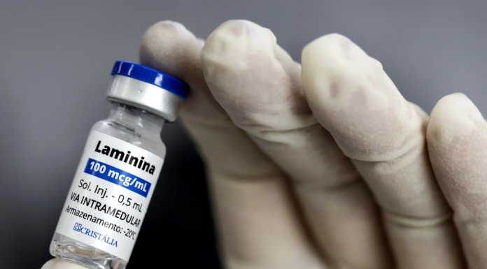 Testes clínicos fase 1 da polilaminina começam este mês