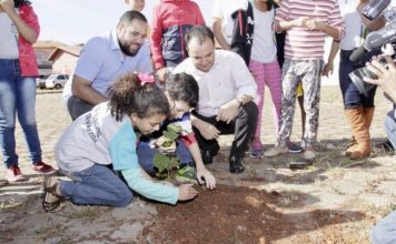 Valparaíso comemora Dia do Meio Ambiente com plantio de espécies nativas