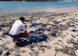 Relator apresenta dia 17 análise da MP de ajuda a pescadores afetados por óleo