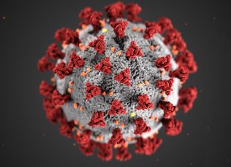 Cepal: economia na América Latina deve cair 9,1% em 2020, com pandemia