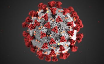 Cepal: economia na América Latina deve cair 9,1% em 2020, com pandemia