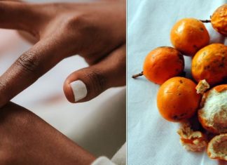 Maracujá do mato: espécie nativa da Amazônia pode ser utilizada na fabricação de cosméticos
