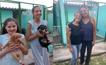 Em Cidade Ocidental, Elaine Duarte é reconhecida pelo seu compromisso com questões sociais, direitos das mulheres e proteção aos animais