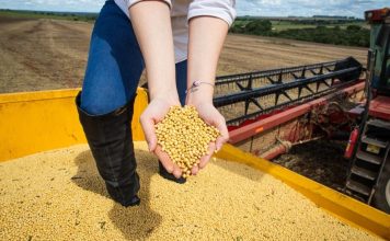 Balança comercial goiana registra superávit de US$ 1,047 bilhão em abril
