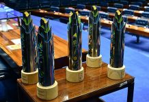 Senado premia governadores por avanços na alfabetização infantil
