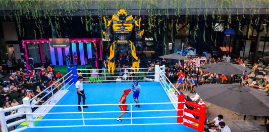 Jovens de Valparaíso conquistam títulos no Campeonato Goiano de Boxe