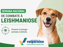 Semana Nacional de Combate à Leishmaniose reforça cuidados contra a doença