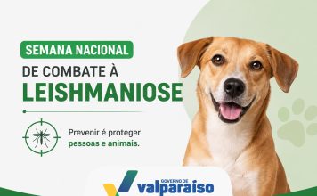 Semana Nacional de Combate à Leishmaniose reforça cuidados contra a doença
