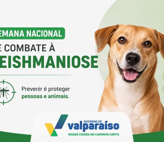 Semana Nacional de Combate à Leishmaniose reforça cuidados contra a doença