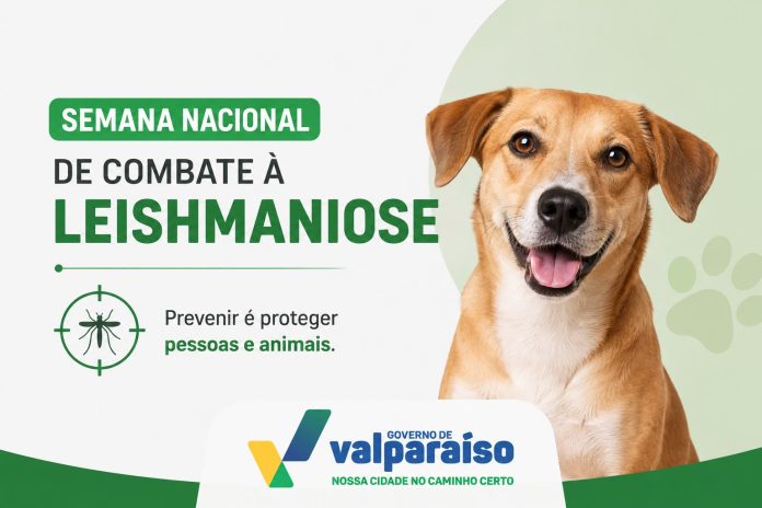 Previnir é proteger