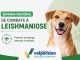 Semana Nacional de Combate à Leishmaniose reforça cuidados contra a doença