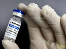Testes clínicos fase 1 da polilaminina começam este mês