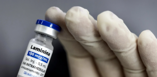 Testes clínicos fase 1 da polilaminina começam este mês