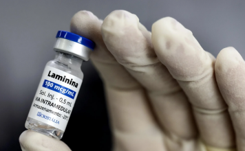 Testes clínicos fase 1 da polilaminina começam este mês