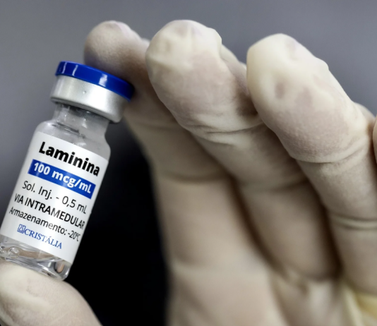 Testes clínicos fase 1 da polilaminina começam este mês